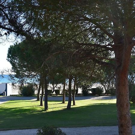 Le Byblos 9 - Vue Mer - Climatisation Plage dʼArgelès Buitenkant foto